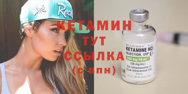 шишки Горно-Алтайск