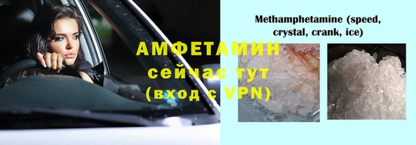 гидра Горняк