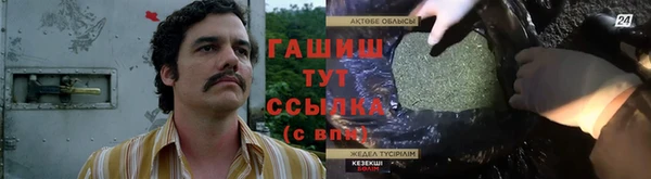 гидра Горняк