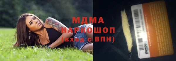 гидра Горняк