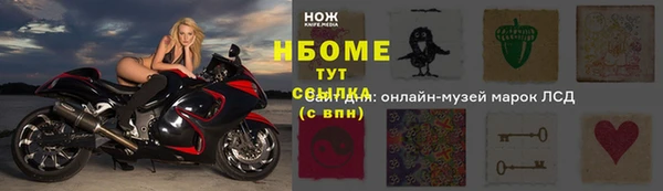 шишки Горно-Алтайск
