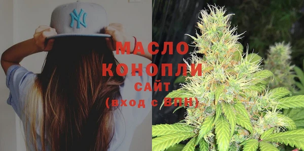 гидра Горняк