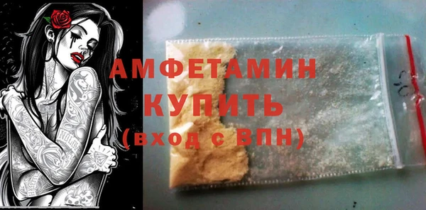 гидра Горняк