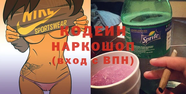 шишки Горно-Алтайск