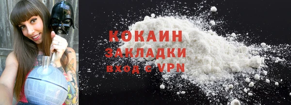 шишки Горно-Алтайск