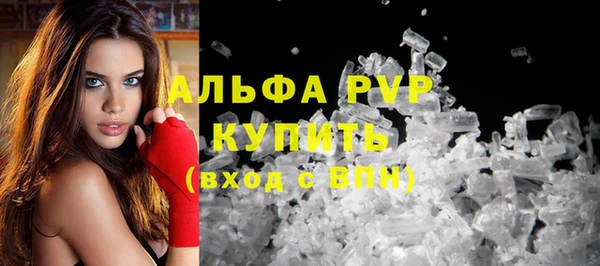 шишки Горно-Алтайск