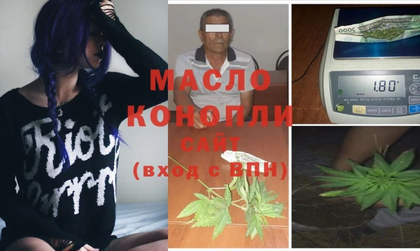 гидра Горняк