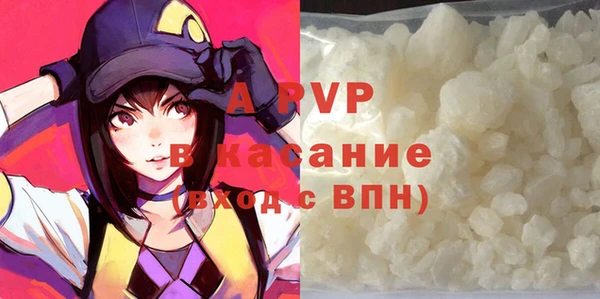 шишки Горно-Алтайск