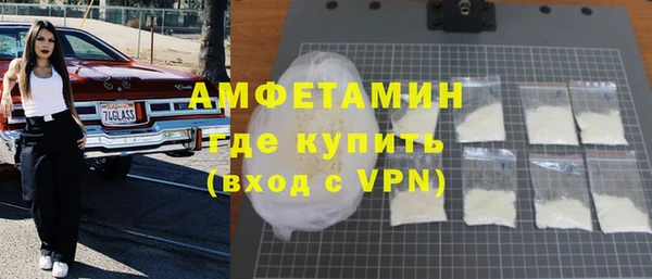 шишки Горно-Алтайск
