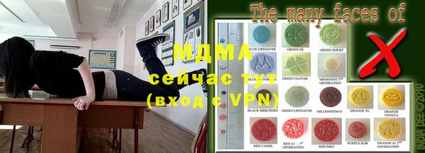 шишки Горно-Алтайск